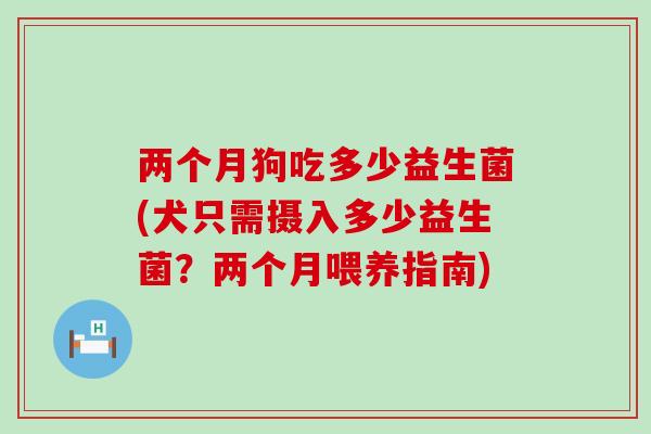 两个月狗吃多少益生菌(犬只需摄入多少益生菌？两个月喂养指南)