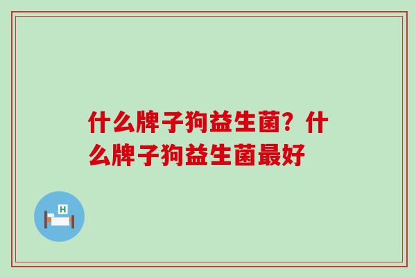 什么牌子狗益生菌？什么牌子狗益生菌好