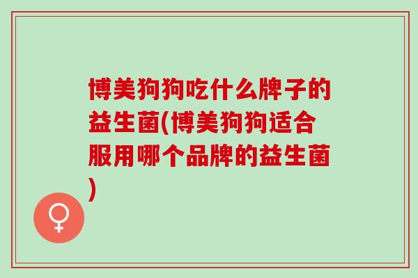 博美狗狗吃什么牌子的益生菌(博美狗狗适合服用哪个品牌的益生菌)