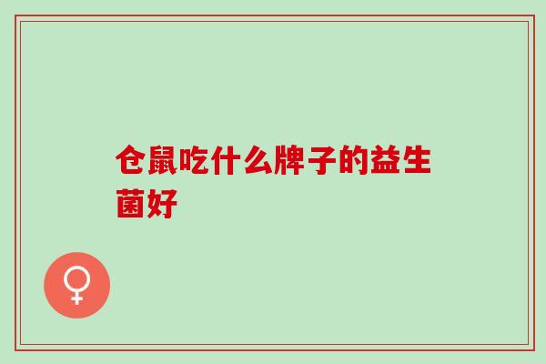 仓鼠吃什么牌子的益生菌好