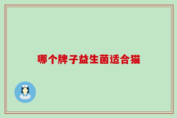 哪个牌子益生菌适合猫