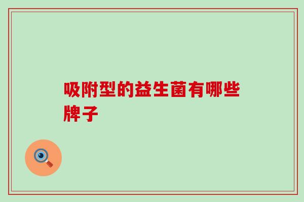 吸附型的益生菌有哪些牌子