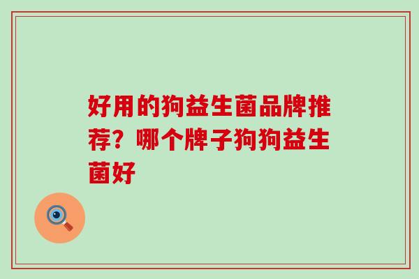 好用的狗益生菌品牌推荐？哪个牌子狗狗益生菌好