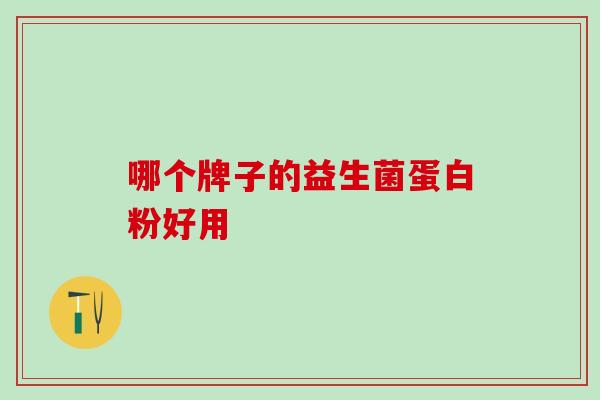 哪个牌子的益生菌蛋白粉好用