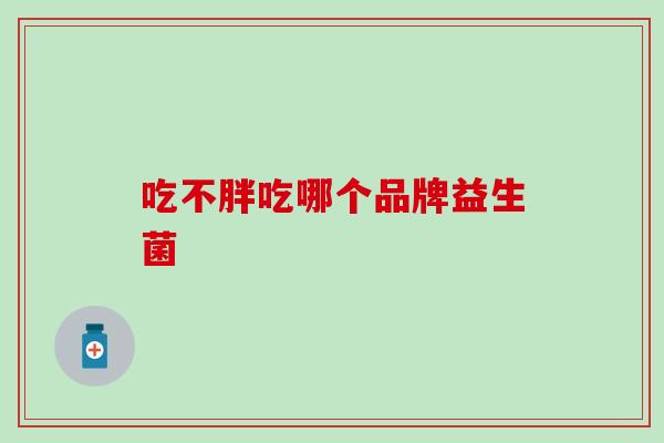 吃不胖吃哪个品牌益生菌