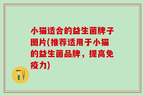 小猫适合的益生菌牌子图片(推荐适用于小猫的益生菌品牌，提高力)