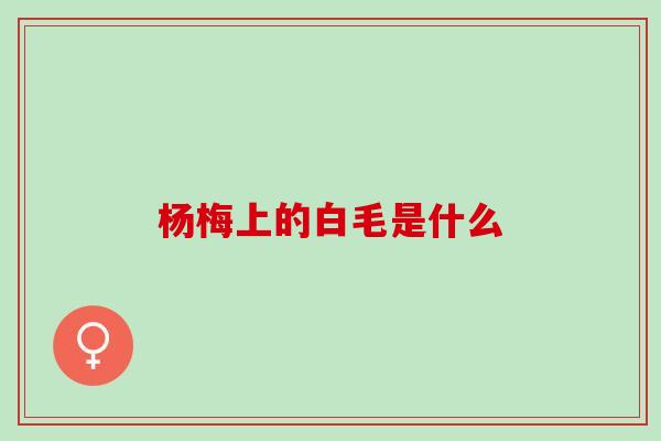 杨梅上的白毛是什么