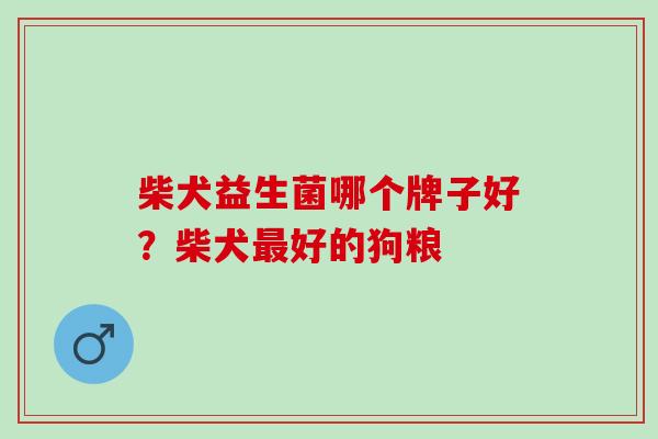 柴犬益生菌哪个牌子好?柴犬好的狗粮 柴犬益生菌哪个牌子好?柴犬好的狗粮