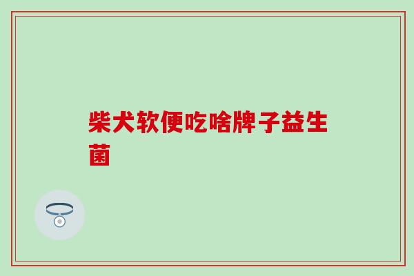 柴犬软便吃啥牌子益生菌