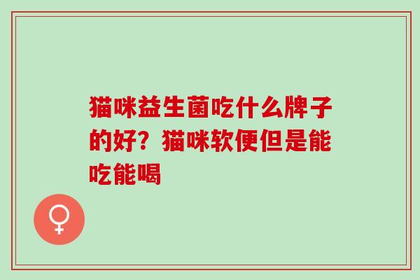 猫咪益生菌吃什么牌子的好？猫咪软便但是能吃能喝