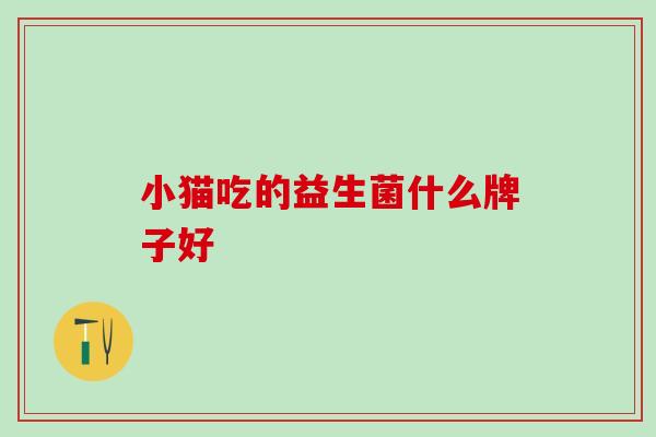 小猫吃的益生菌什么牌子好