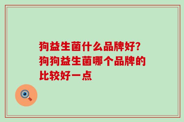 狗益生菌什么品牌好?狗狗益生菌哪个品牌的比较好一点 狗益生菌什么品牌好?狗狗益生菌哪个品牌的比较好一点