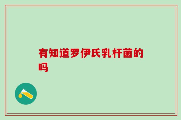 有知道罗伊氏乳杆菌的吗
