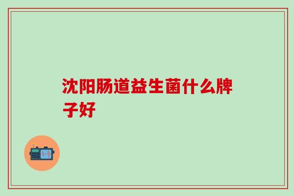 沈阳肠道益生菌什么牌子好
