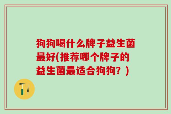 狗狗喝什么牌子益生菌好(推荐哪个牌子的益生菌适合狗狗？)