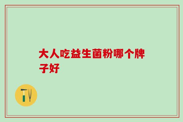 大人吃益生菌粉哪个牌子好