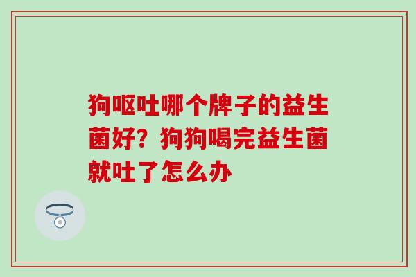 狗哪个牌子的益生菌好？狗狗喝完益生菌就吐了怎么办