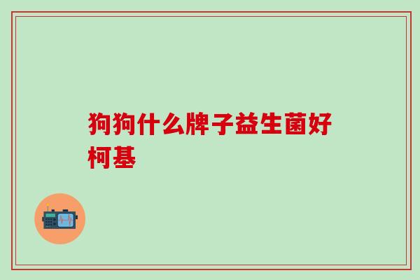 狗狗什么牌子益生菌好柯基