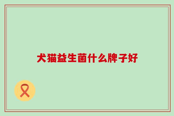犬猫益生菌什么牌子好