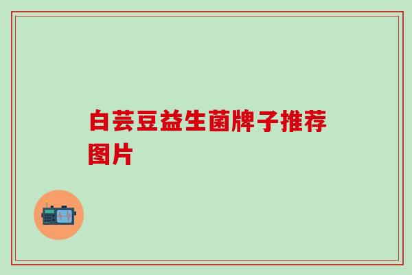白芸豆益生菌牌子推荐图片