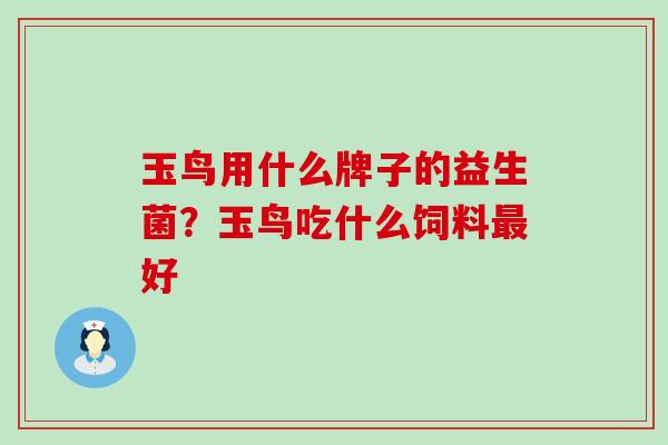 玉鸟用什么牌子的益生菌？玉鸟吃什么饲料好