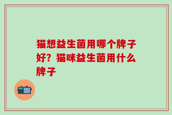 猫想益生菌用哪个牌子好？猫咪益生菌用什么牌子