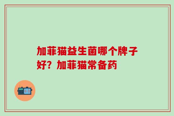 加菲猫益生菌哪个牌子好？加菲猫常备药