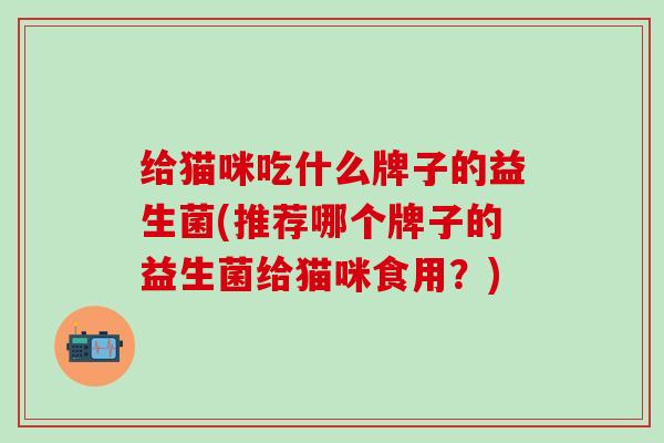 给猫咪吃什么牌子的益生菌(推荐哪个牌子的益生菌给猫咪食用？)