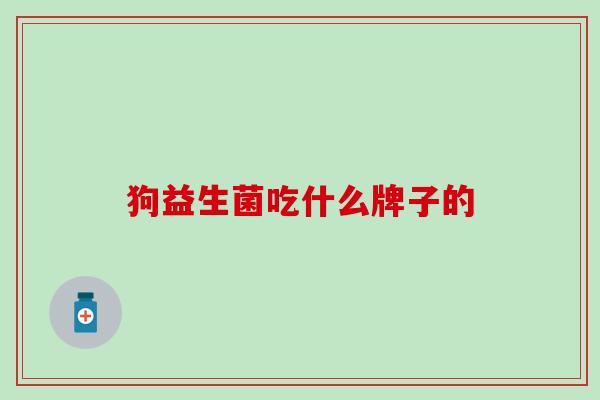 狗益生菌吃什么牌子的
