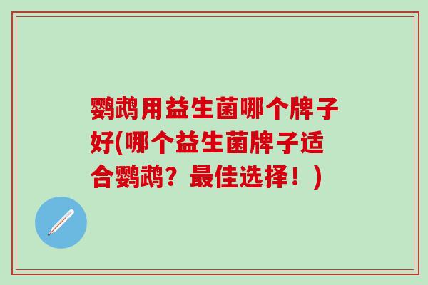 鹦鹉用益生菌哪个牌子好(哪个益生菌牌子适合鹦鹉？佳选择！)
