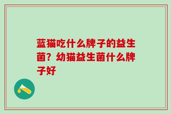 蓝猫吃什么牌子的益生菌？幼猫益生菌什么牌子好