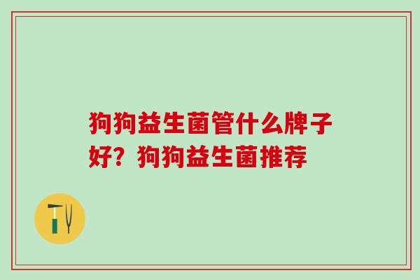 狗狗益生菌管什么牌子好？狗狗益生菌推荐