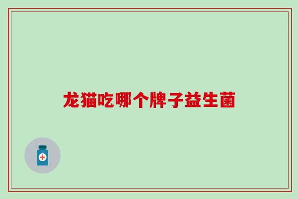 龙猫吃哪个牌子益生菌