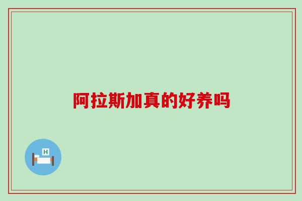 阿拉斯加真的好养吗