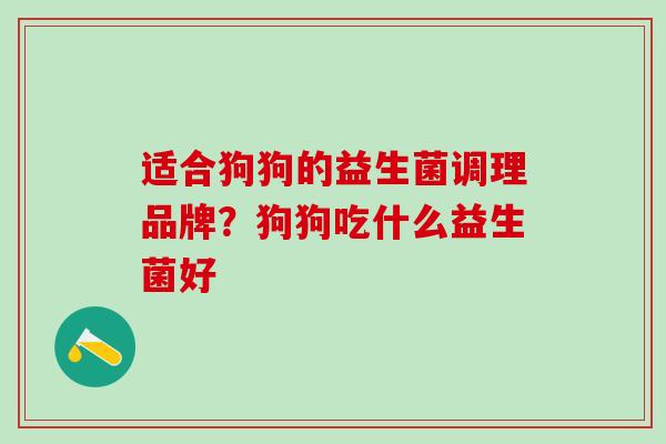 适合狗狗的益生菌调理品牌？狗狗吃什么益生菌好