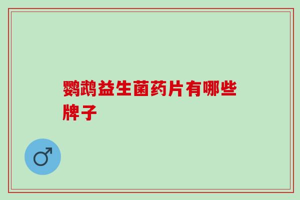 鹦鹉益生菌药片有哪些牌子