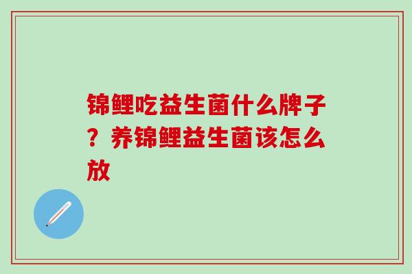 锦鲤吃益生菌什么牌子？养锦鲤益生菌该怎么放