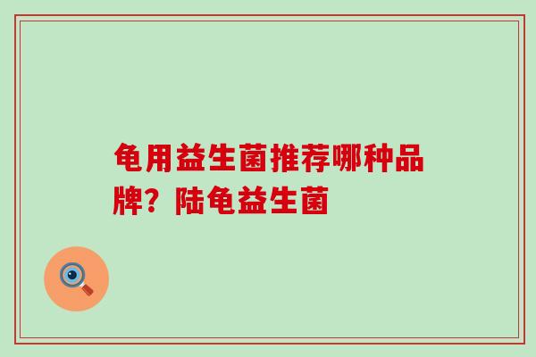 龟用益生菌推荐哪种品牌？陆龟益生菌