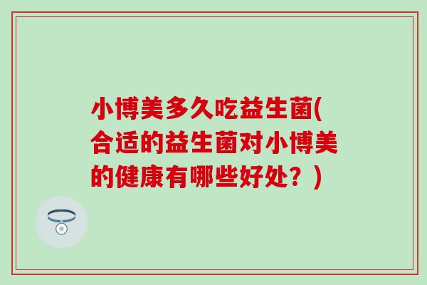 小博美多久吃益生菌(合适的益生菌对小博美的健康有哪些好处？)