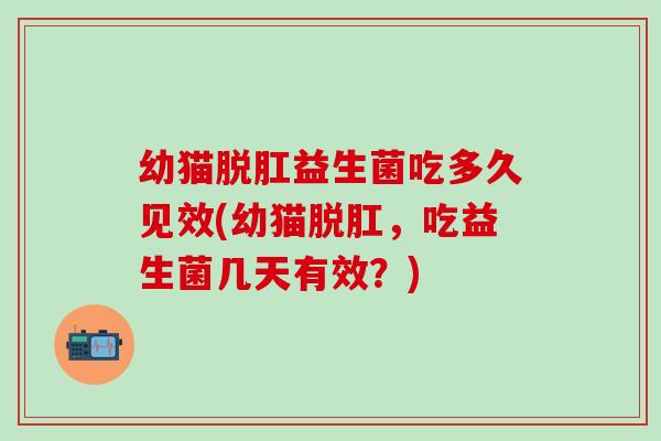 幼猫脱肛益生菌吃多久见效(幼猫脱肛，吃益生菌几天有效？)