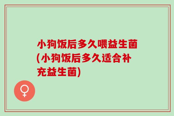 小狗饭后多久喂益生菌(小狗饭后多久适合补充益生菌)