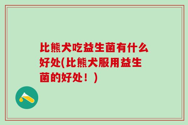 比熊犬吃益生菌有什么好处(比熊犬服用益生菌的好处！)