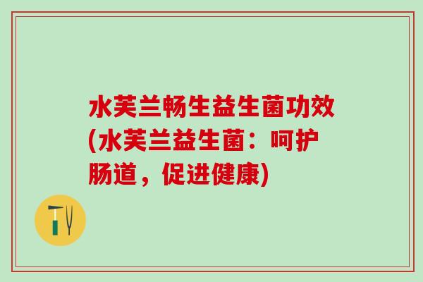 水芙兰畅生益生菌功效(水芙兰益生菌：呵护肠道，促进健康)