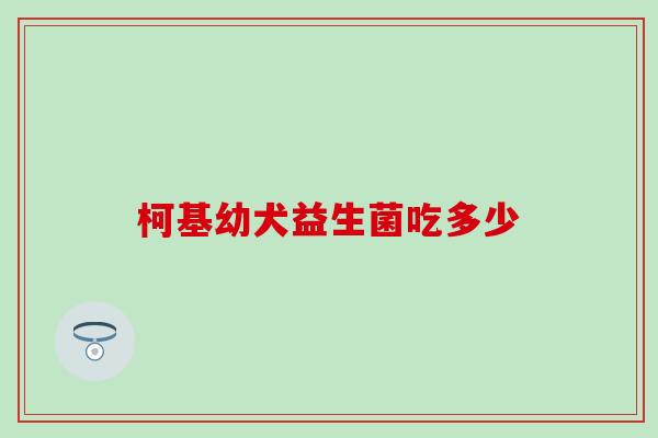 柯基幼犬益生菌吃多少