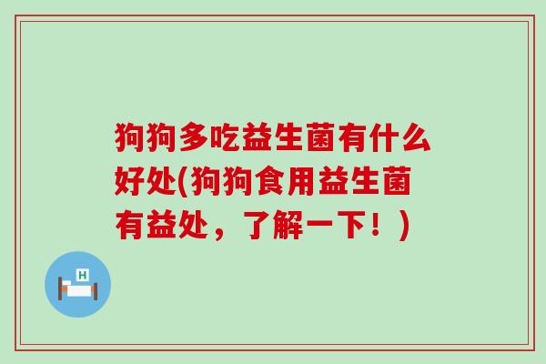 狗狗多吃益生菌有什么好处(狗狗食用益生菌有益处，了解一下！)
