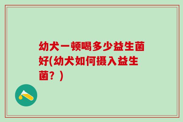 幼犬一顿喝多少益生菌好(幼犬如何摄入益生菌？)