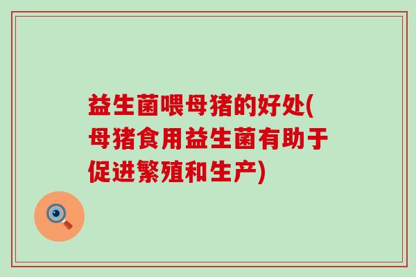 益生菌喂母猪的好处(母猪食用益生菌有助于促进繁殖和生产)