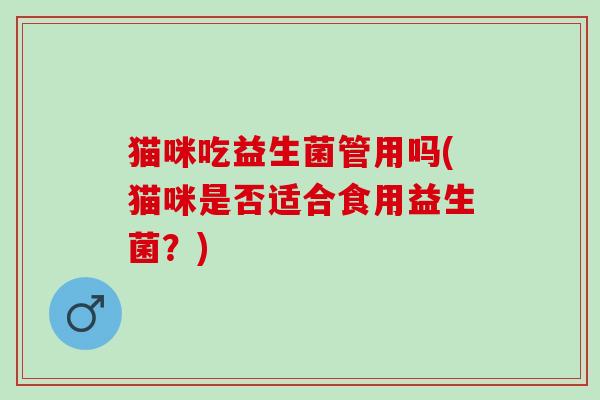 猫咪吃益生菌管用吗(猫咪是否适合食用益生菌？)