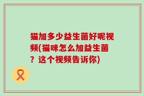 猫加多少益生菌好呢视频(猫咪怎么加益生菌？这个视频告诉你)