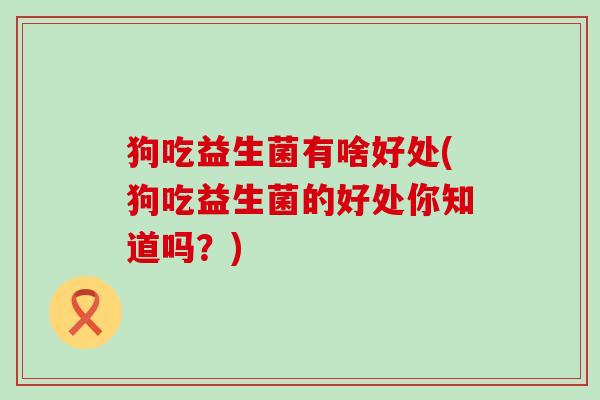 狗吃益生菌有啥好处(狗吃益生菌的好处你知道吗？)